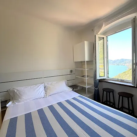 Belvedere コルニリア