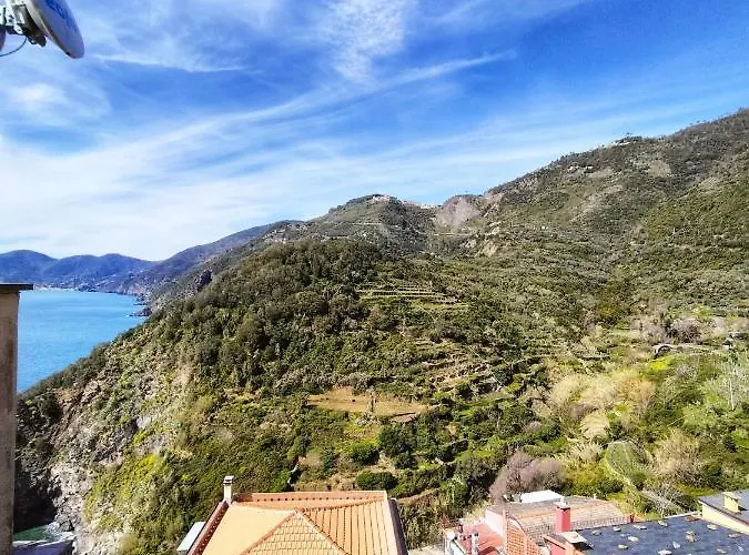 Belvedere 게스트하우스 3*